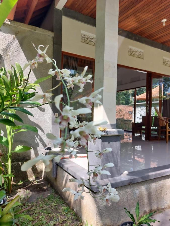 Pondok Kukuh Villa Sidemen Sidemen  Dış mekan fotoğraf